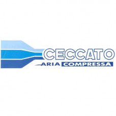 Головка Ceccato для компресора FC2/24CM2, FC2/50CM2 (6218739800)