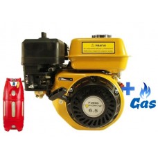 Бензо-газовый двигатель FORTE F200G LPG